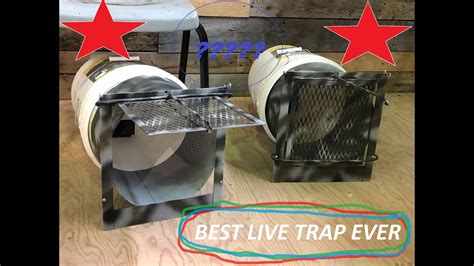 5 gallon bucket raccoon trap|iron city bucket trap kit.